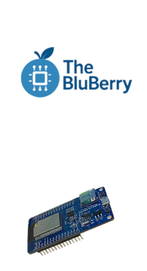 The BluBerry